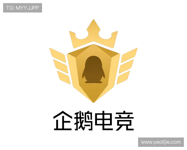 AG集团网址官方公告：最新版本上线带来更流畅的游戏体验和丰富的优惠活动